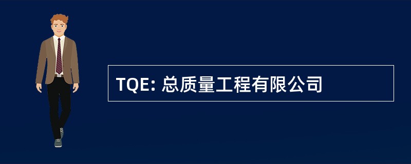 TQE: 总质量工程有限公司