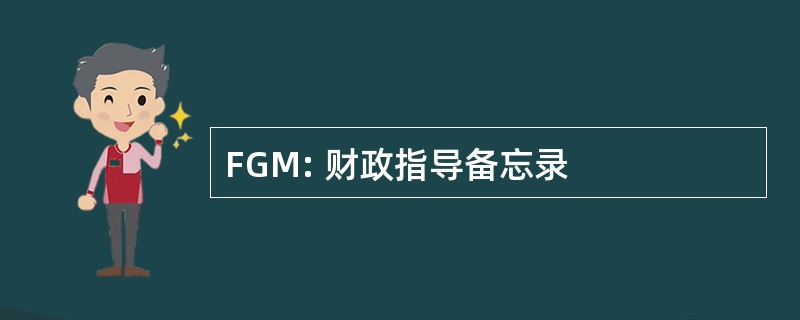 FGM: 财政指导备忘录