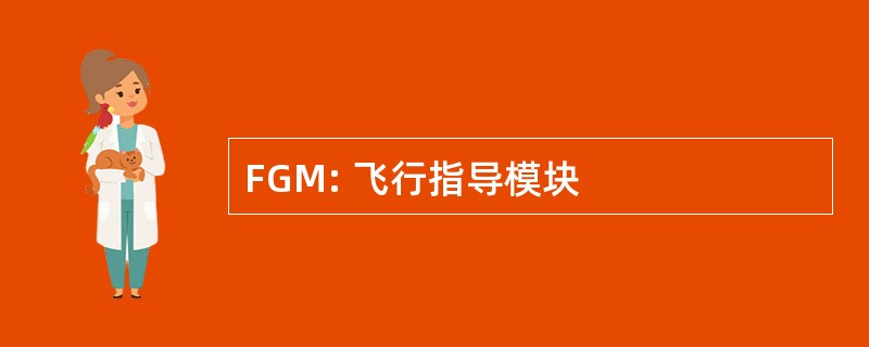 FGM: 飞行指导模块