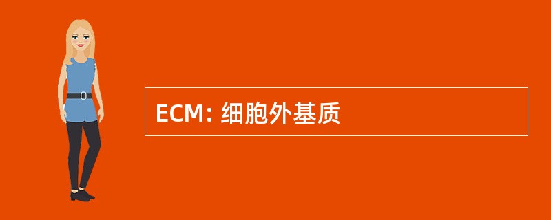 ECM: 细胞外基质