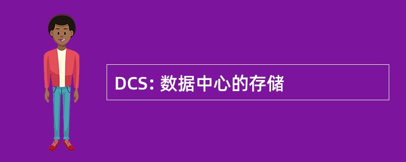 DCS: 数据中心的存储