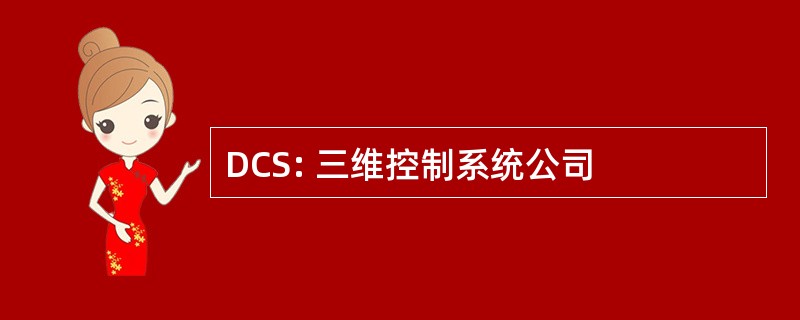 DCS: 三维控制系统公司