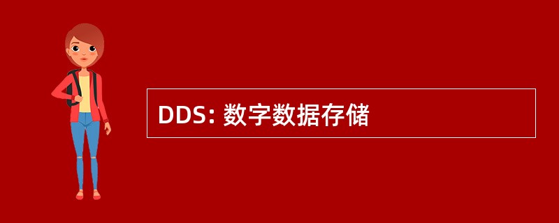 DDS: 数字数据存储