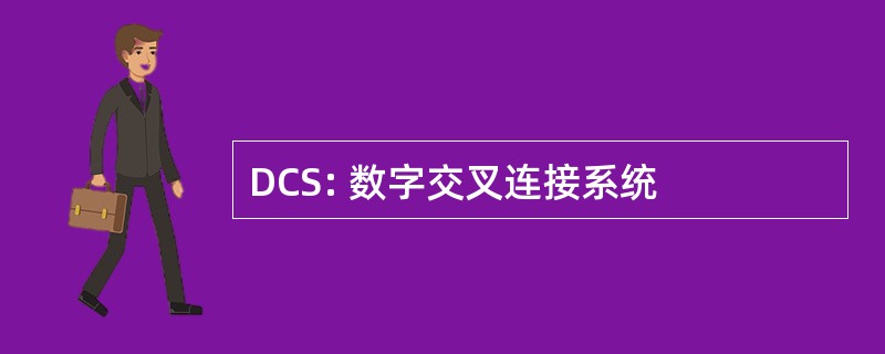 DCS: 数字交叉连接系统