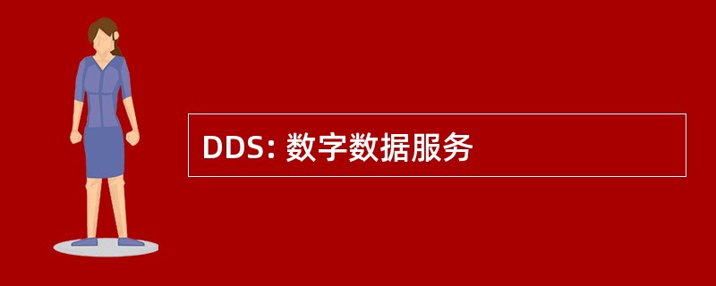 DDS: 数字数据服务