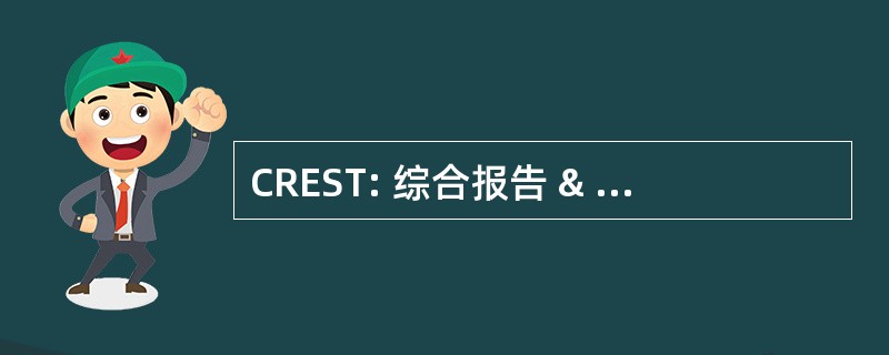 CREST: 综合报告 & 评价系统，战术