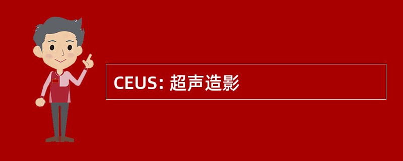 CEUS: 超声造影