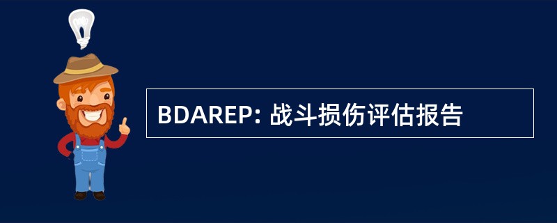 BDAREP: 战斗损伤评估报告