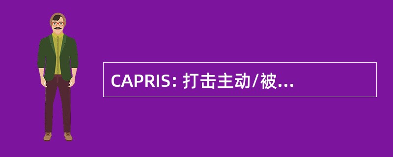 CAPRIS: 打击主动/被动雷达识别系统