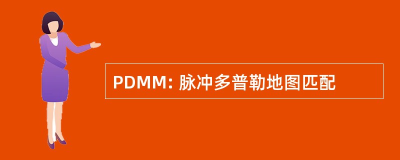 PDMM: 脉冲多普勒地图匹配