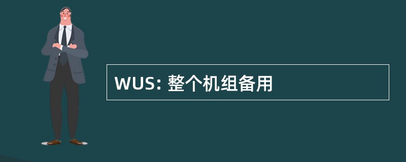 WUS: 整个机组备用