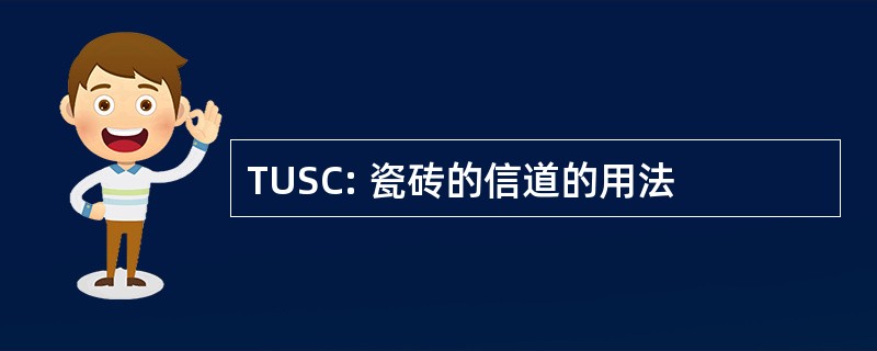 TUSC: 瓷砖的信道的用法