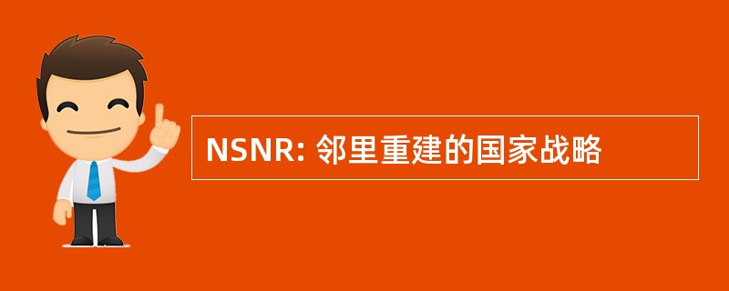 NSNR: 邻里重建的国家战略