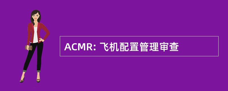 ACMR: 飞机配置管理审查