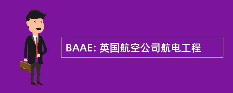 BAAE: 英国航空公司航电工程