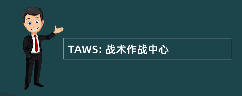 TAWS: 战术作战中心