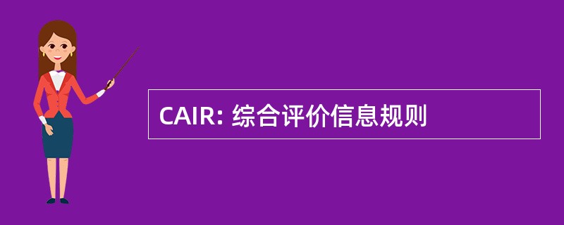 CAIR: 综合评价信息规则