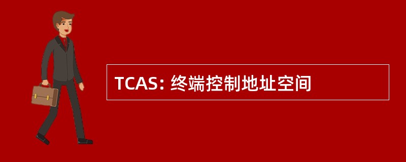 TCAS: 终端控制地址空间