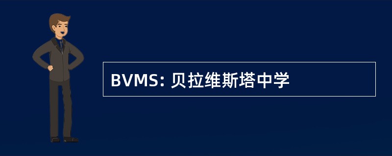 BVMS: 贝拉维斯塔中学