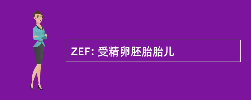 ZEF: 受精卵胚胎胎儿