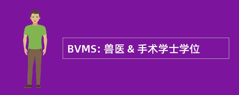 BVMS: 兽医 & 手术学士学位