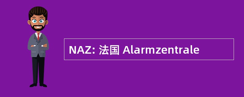 NAZ: 法国 Alarmzentrale