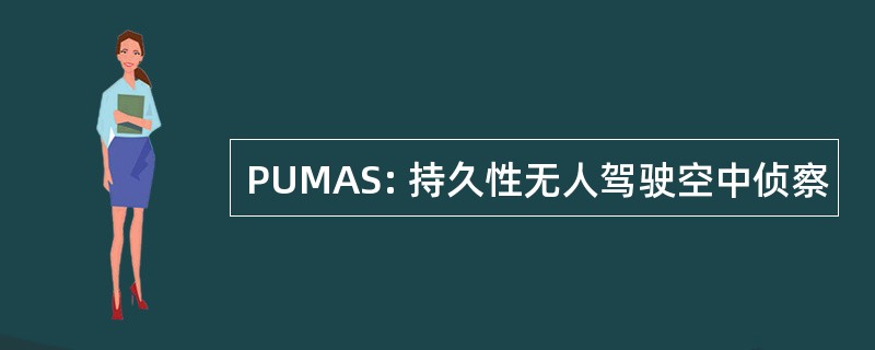 PUMAS: 持久性无人驾驶空中侦察