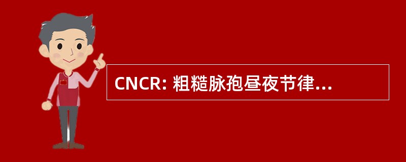 CNCR: 粗糙脉孢昼夜节律的空间表征