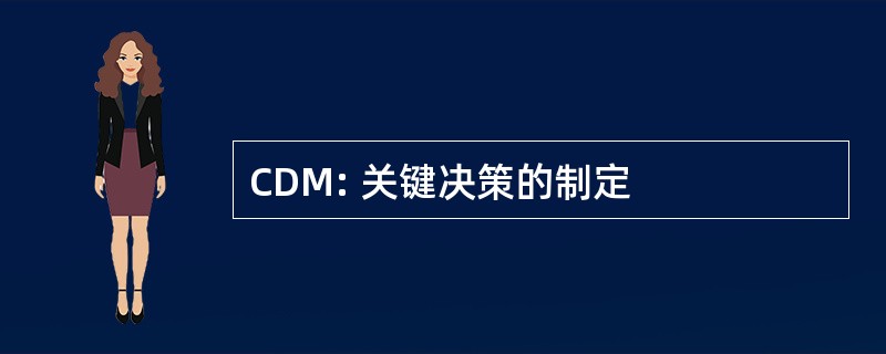 CDM: 关键决策的制定