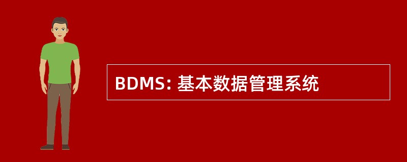 BDMS: 基本数据管理系统