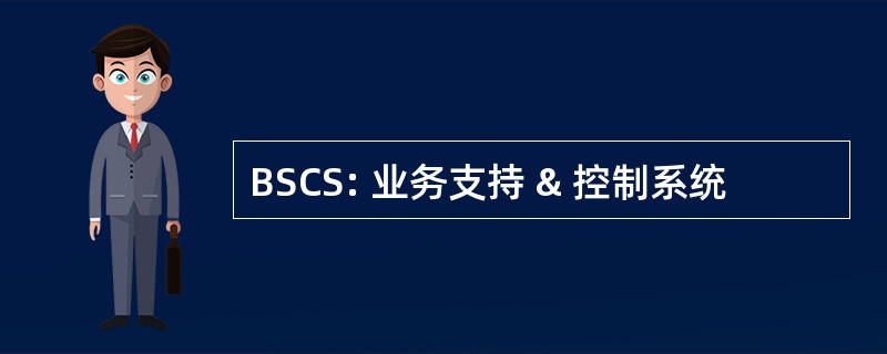 BSCS: 业务支持 & 控制系统