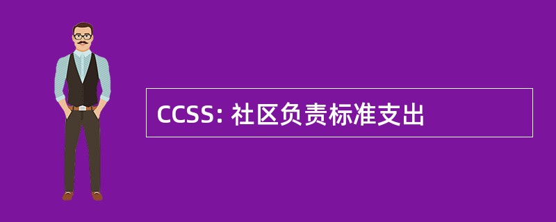 CCSS: 社区负责标准支出