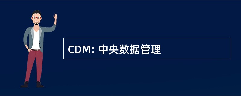 CDM: 中央数据管理