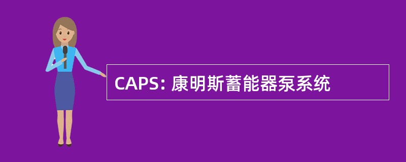 CAPS: 康明斯蓄能器泵系统