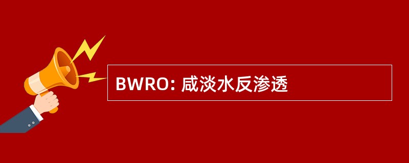 BWRO: 咸淡水反渗透