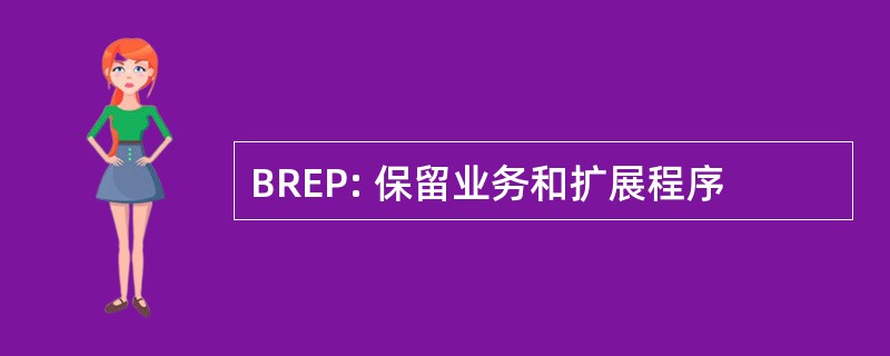 BREP: 保留业务和扩展程序