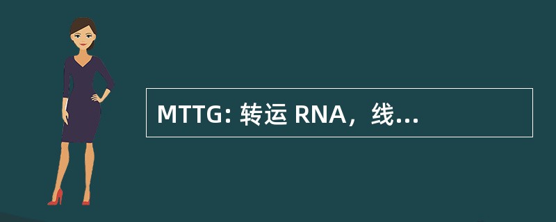 MTTG: 转运 RNA，线粒体，甘氨酸