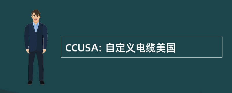 CCUSA: 自定义电缆美国