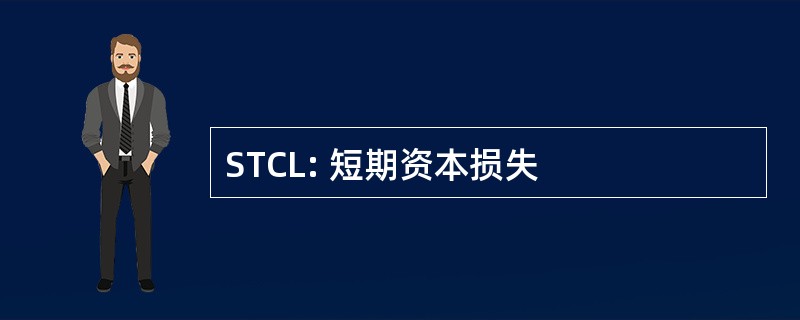 STCL: 短期资本损失