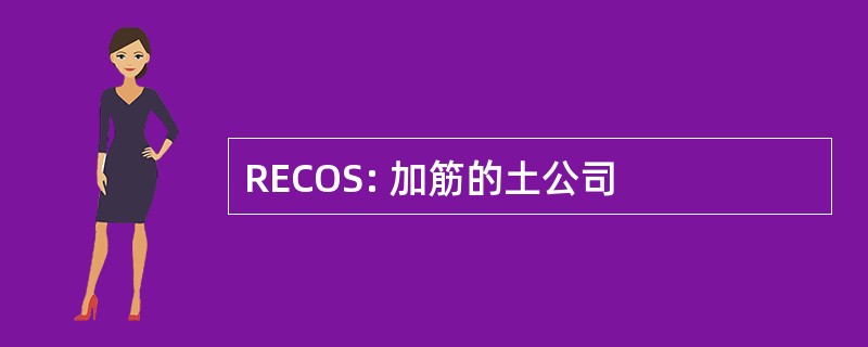 RECOS: 加筋的土公司