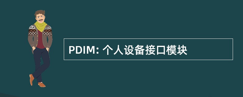 PDIM: 个人设备接口模块