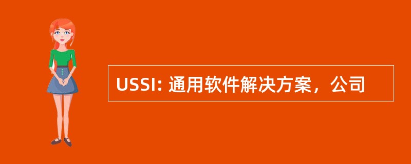 USSI: 通用软件解决方案，公司