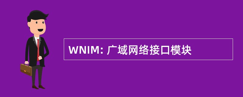 WNIM: 广域网络接口模块