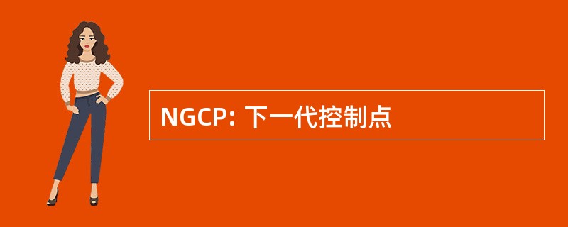 NGCP: 下一代控制点