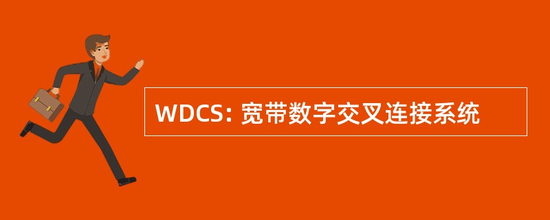 WDCS: 宽带数字交叉连接系统