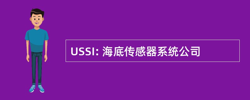 USSI: 海底传感器系统公司