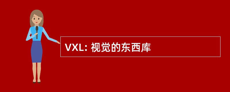 VXL: 视觉的东西库