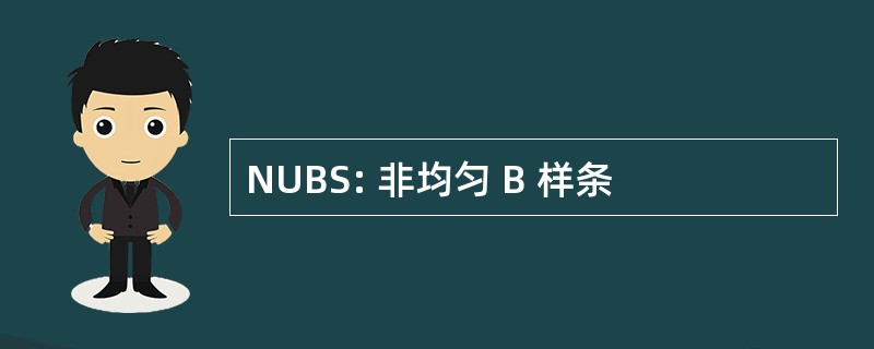 NUBS: 非均匀 B 样条