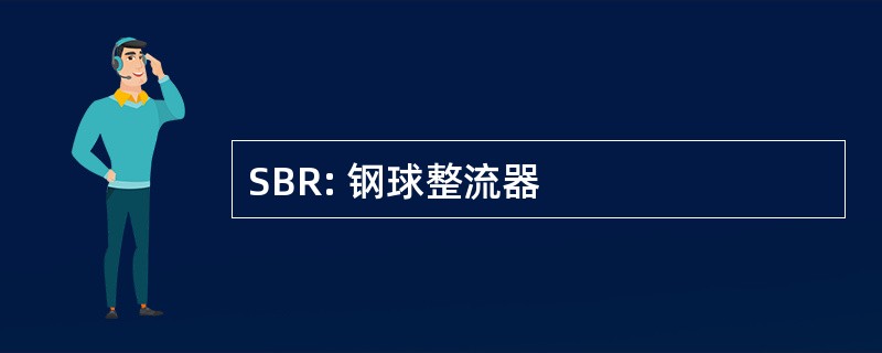 SBR: 钢球整流器