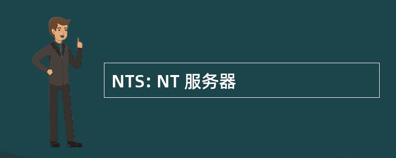 NTS: NT 服务器